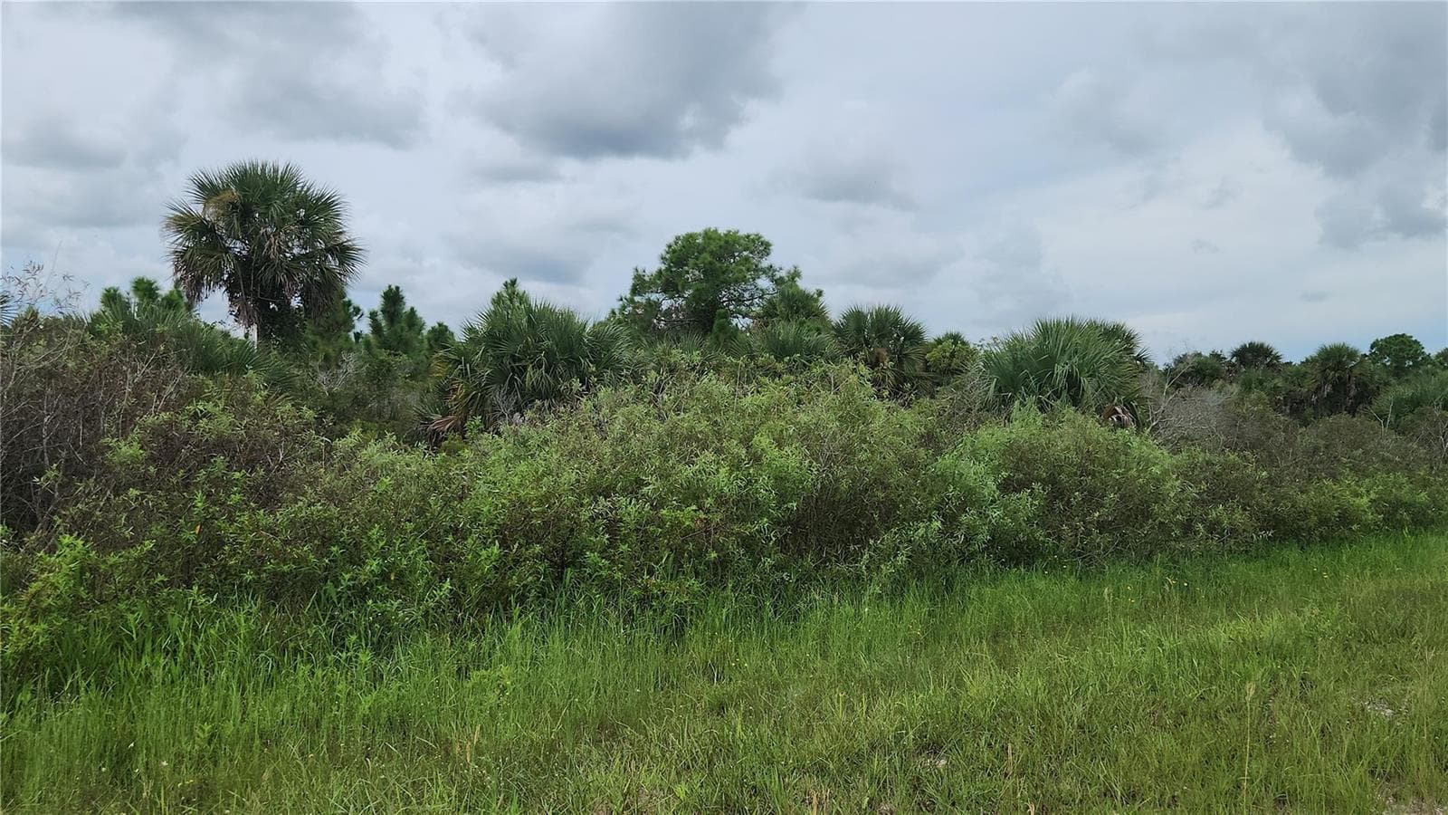 14988 NW 316th Street, Okeechobee FL 34972