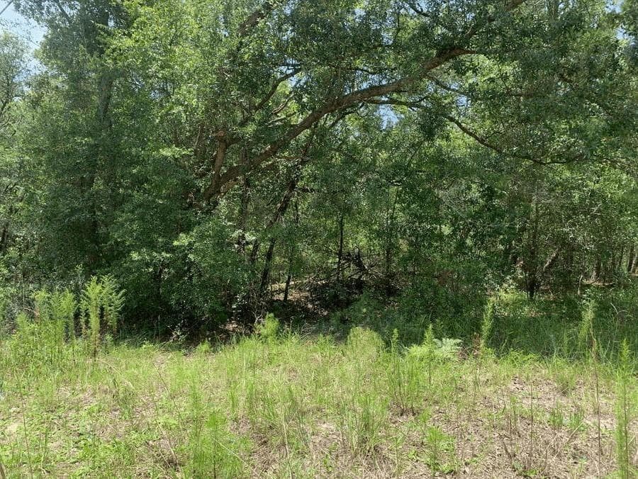 0 Oklahoma Avenue, FL 32189