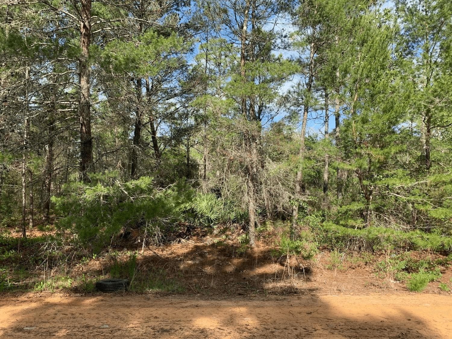 0 Louise Avenue, FL 32148