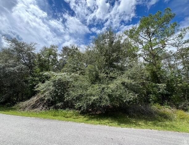 6252 N Cavalier Terrace, FL 34433