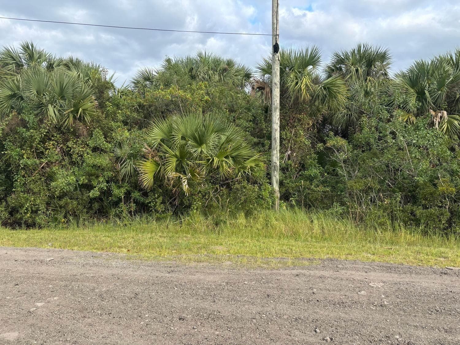 3223 SW Mockingbird Avenue, Palm Bay FL 32908