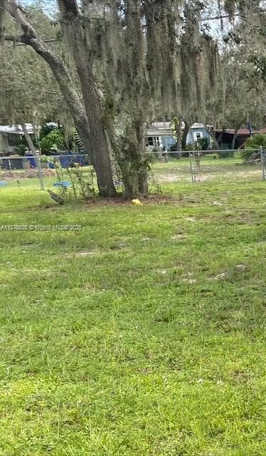 Tree on property