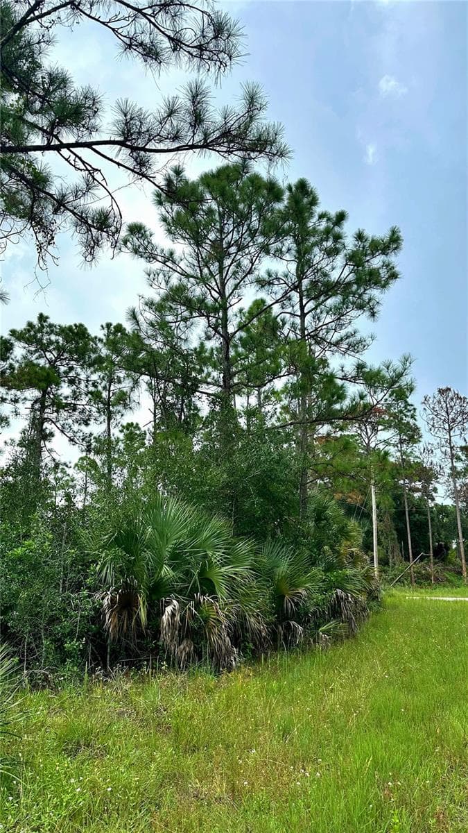 1247 Rake ST E, Lehigh Acres FL 33974