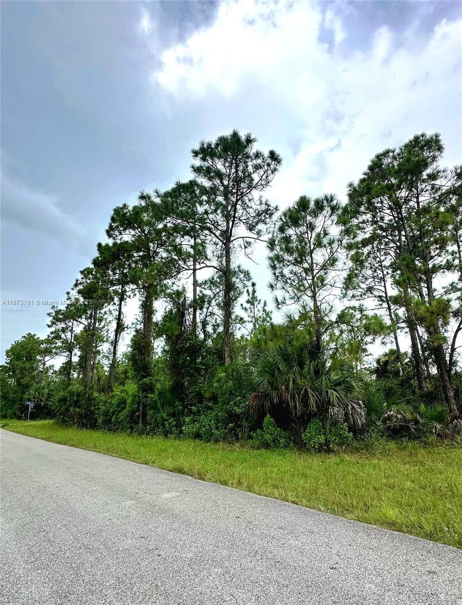 1247 Rake ST E, Lehigh Acres FL 33974