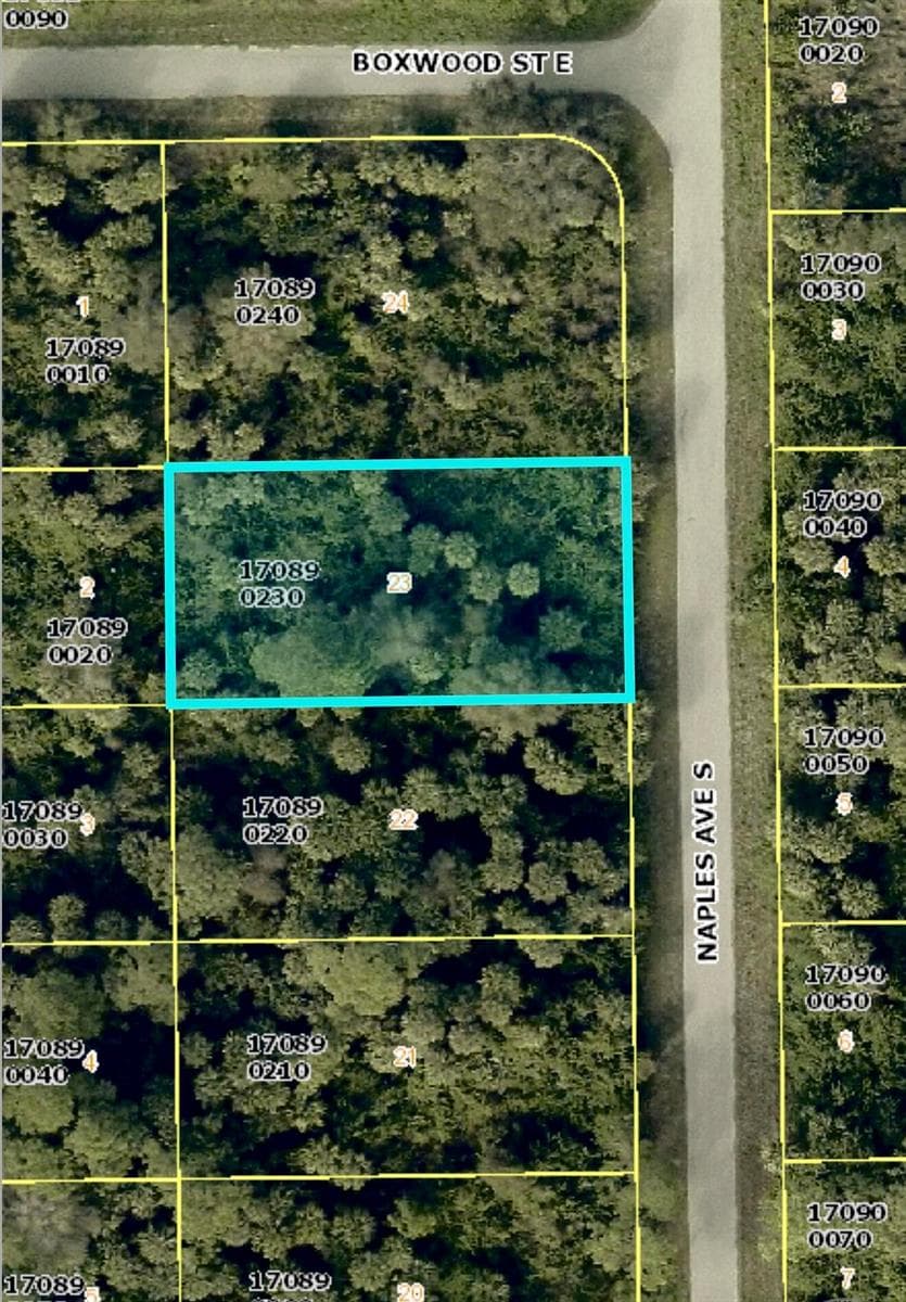 636 Naples Avenue S, Lehigh Acres FL 33974