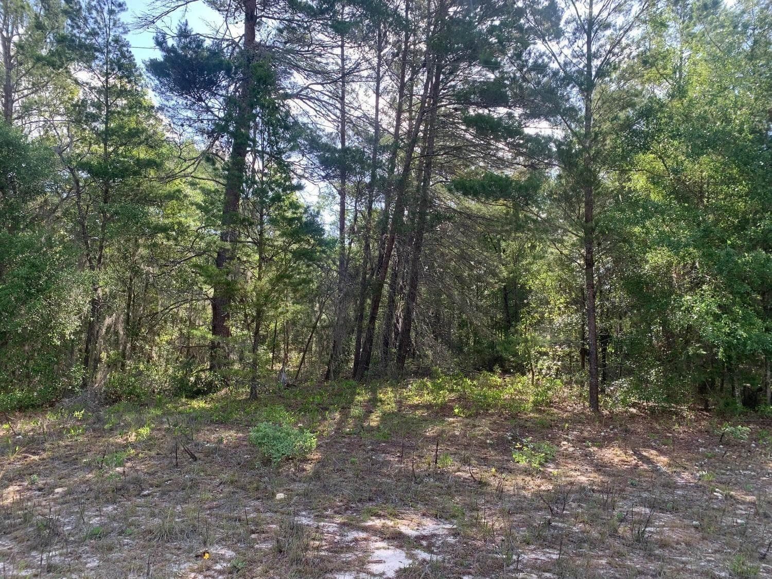 0 Evans Avenue, FL 32148