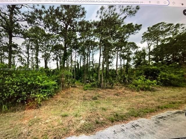 1710 Lake ave, Lehigh Acres FL 33972