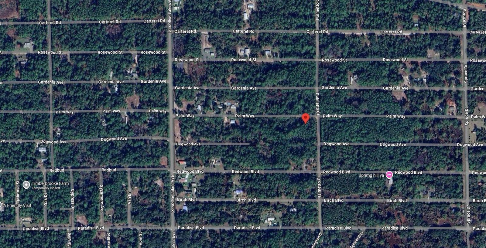337 palm way georgetown