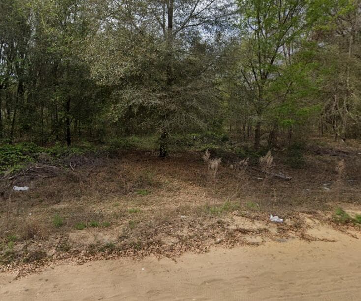 0 N Helmers Avenue, FL 32148