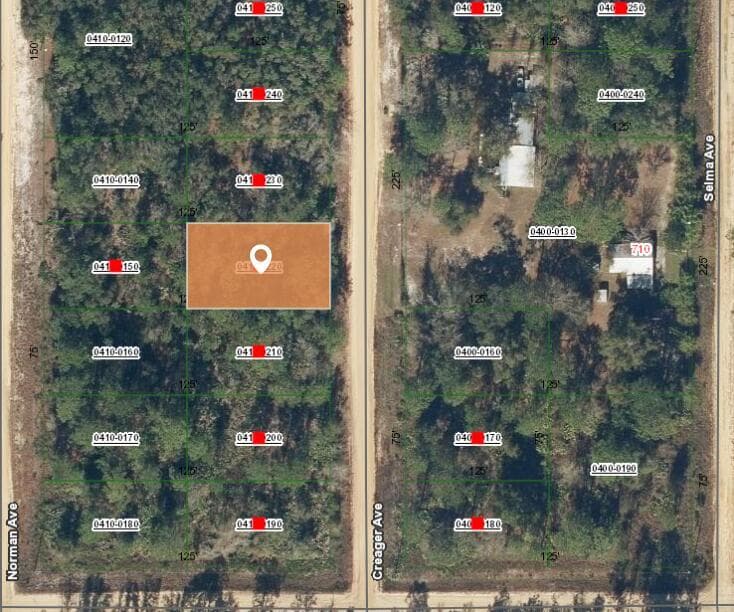 003 Creager Avenue, FL 32148