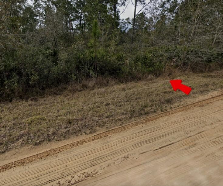 003 Creager Avenue, FL 32148