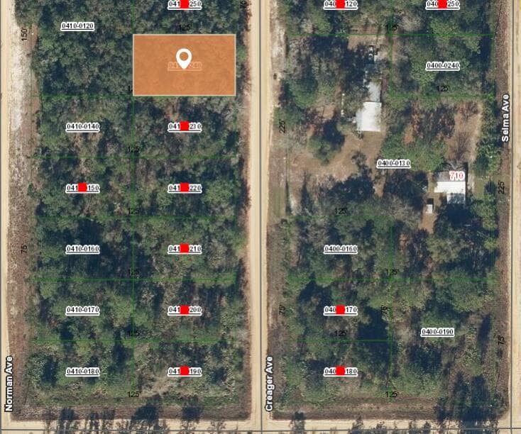 005 Creager Avenue, FL 32148