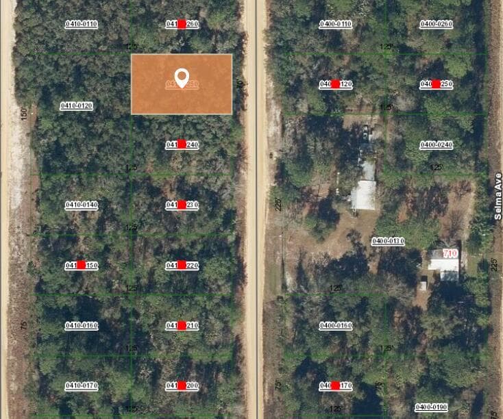 006 Creager Avenue, FL 32148