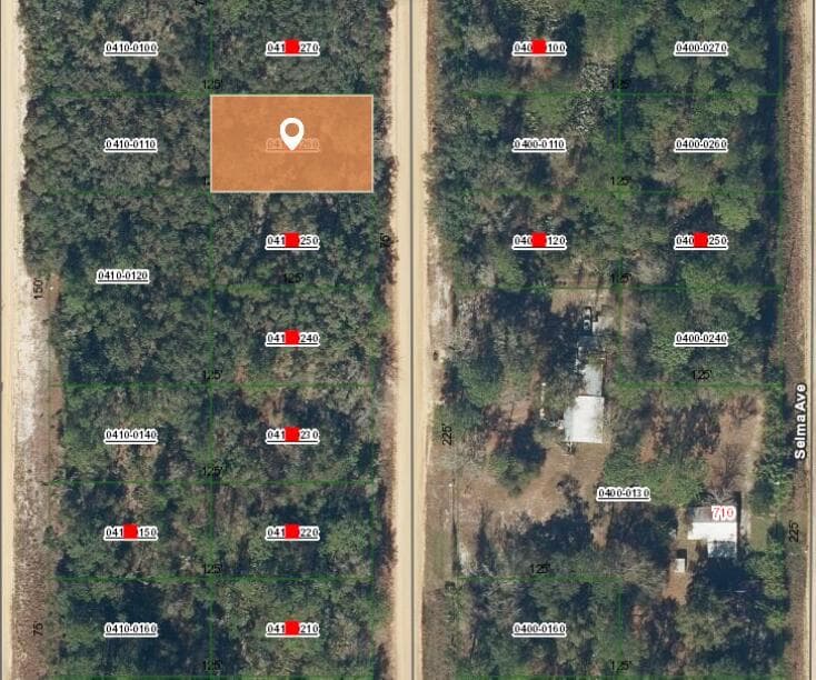 007 Creager Avenue, FL 32148