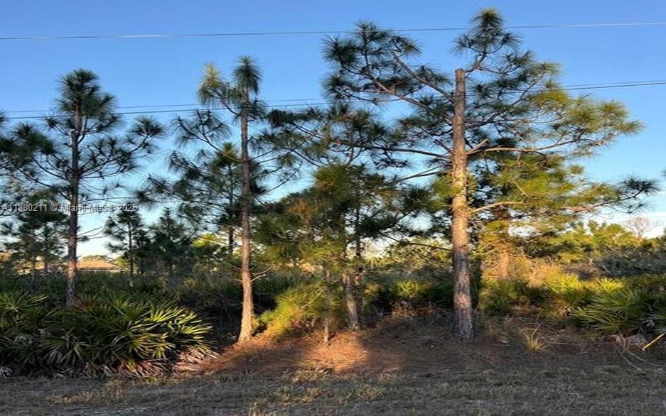 676 Sabrina Ct, Lehigh Acres FL 33972