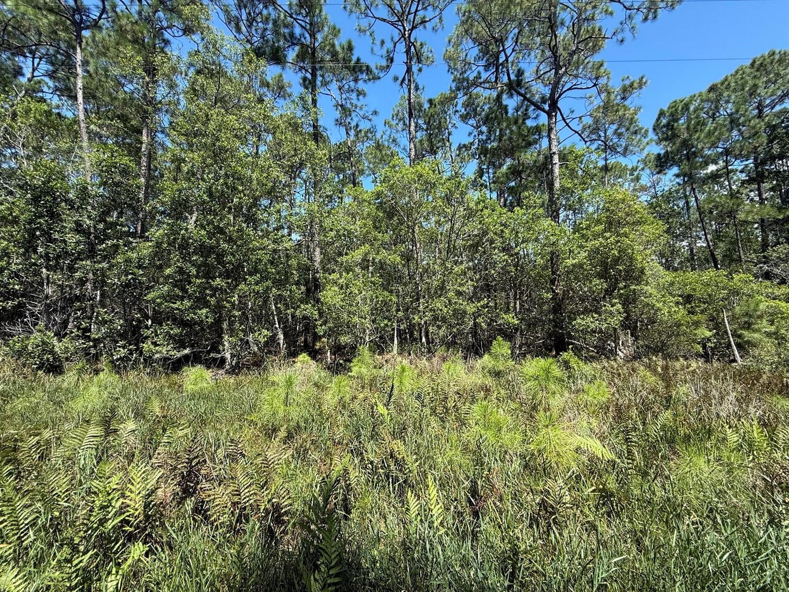 210 SE 2nd Street, FL 32139