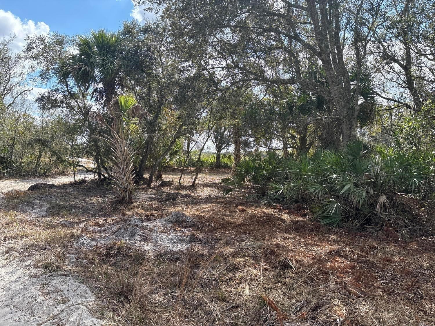 0 NW 300th Street, Okeechobee FL 34972