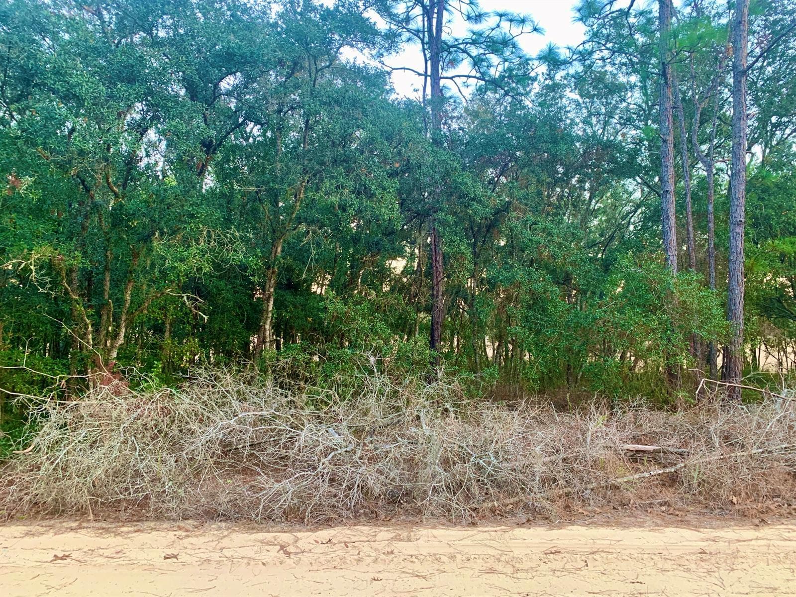 301 S Crestview Avenue, Inverness FL 34452