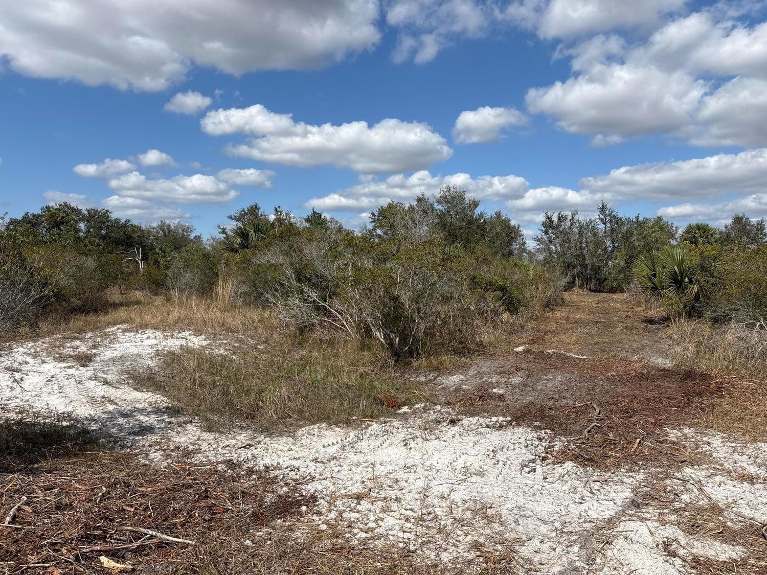 0 NW 298th Street, Okeechobee FL 34972