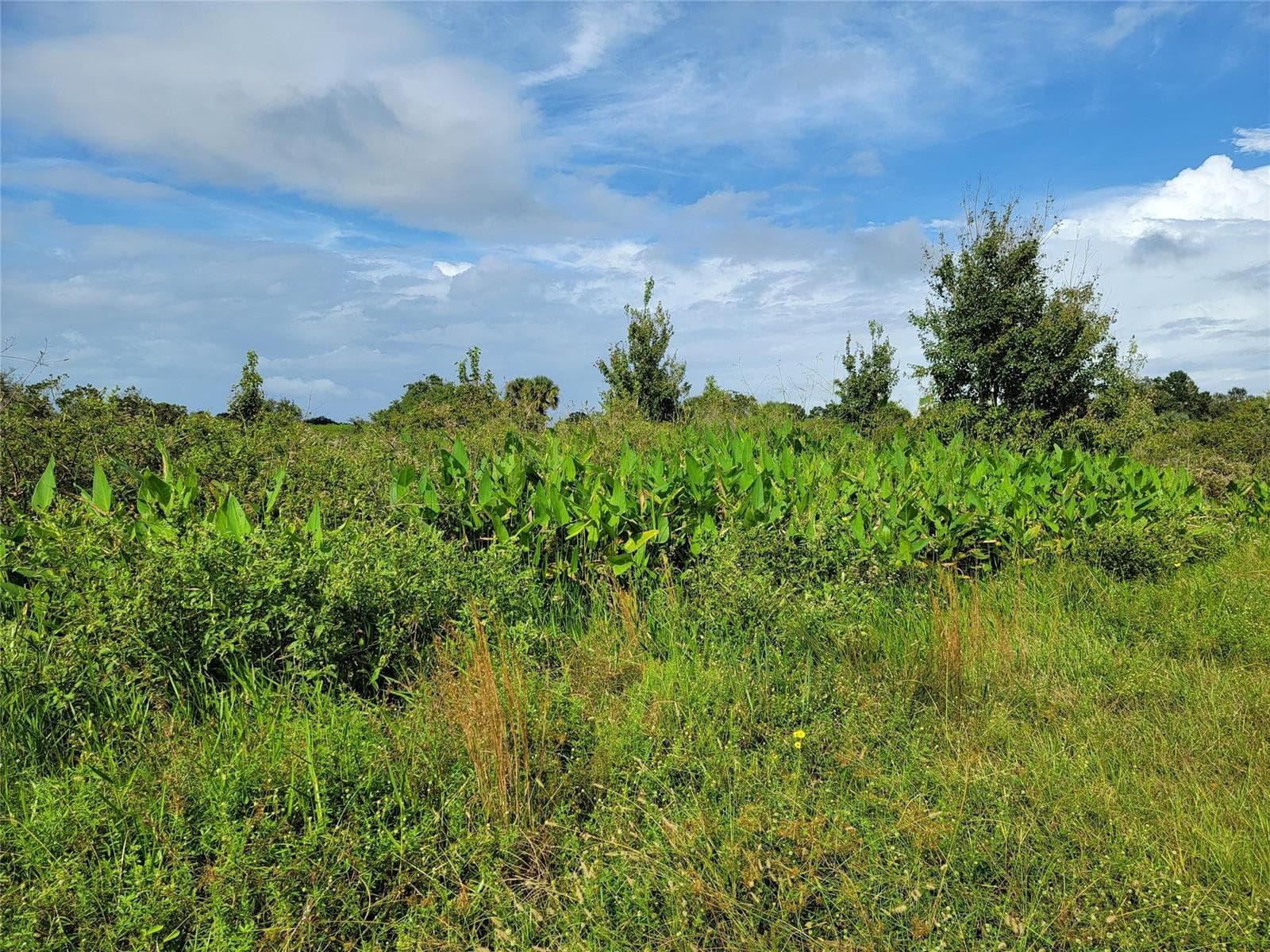 17275 NW 260th Street, Okeechobee FL 34972