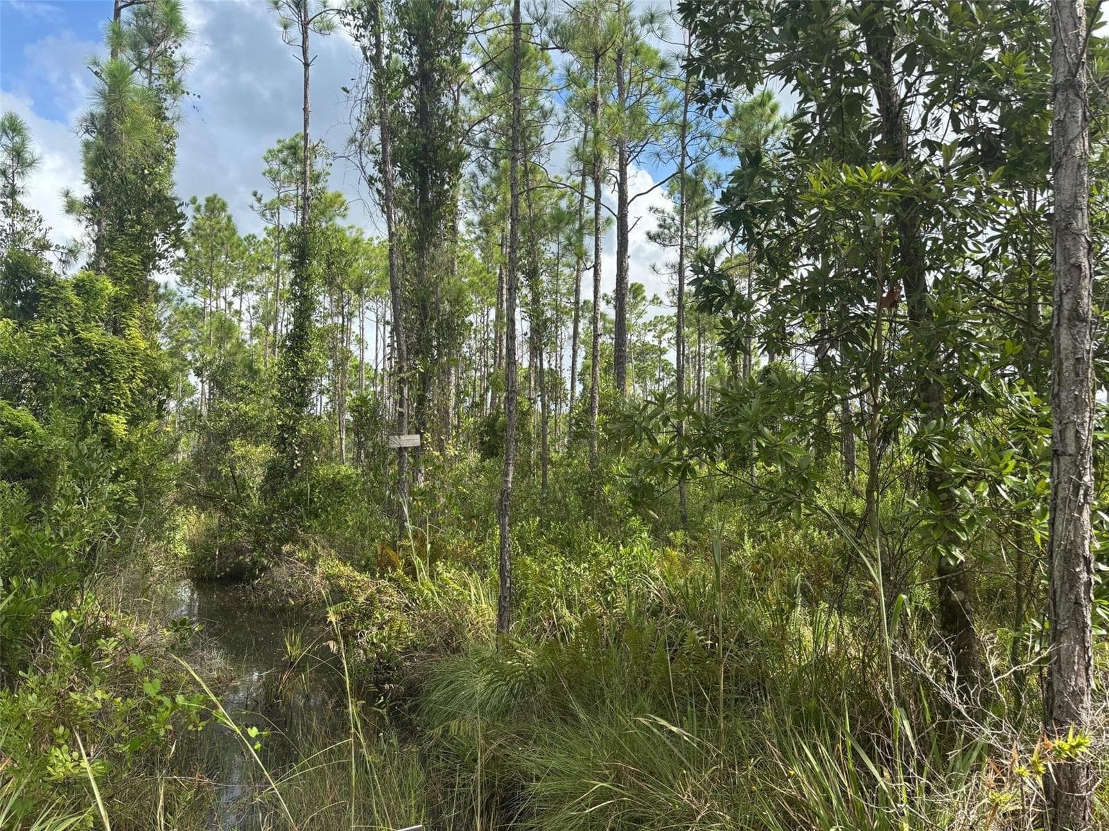 0 Co Road, Lake Wales FL 33898