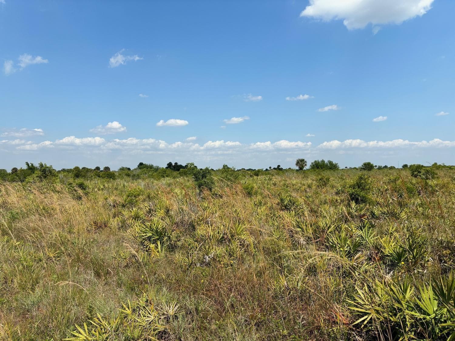 0 NW 318th Street, Okeechobee FL 34972