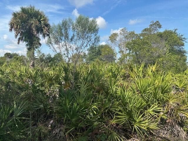 0 NW 310th Street, Okeechobee FL 34972