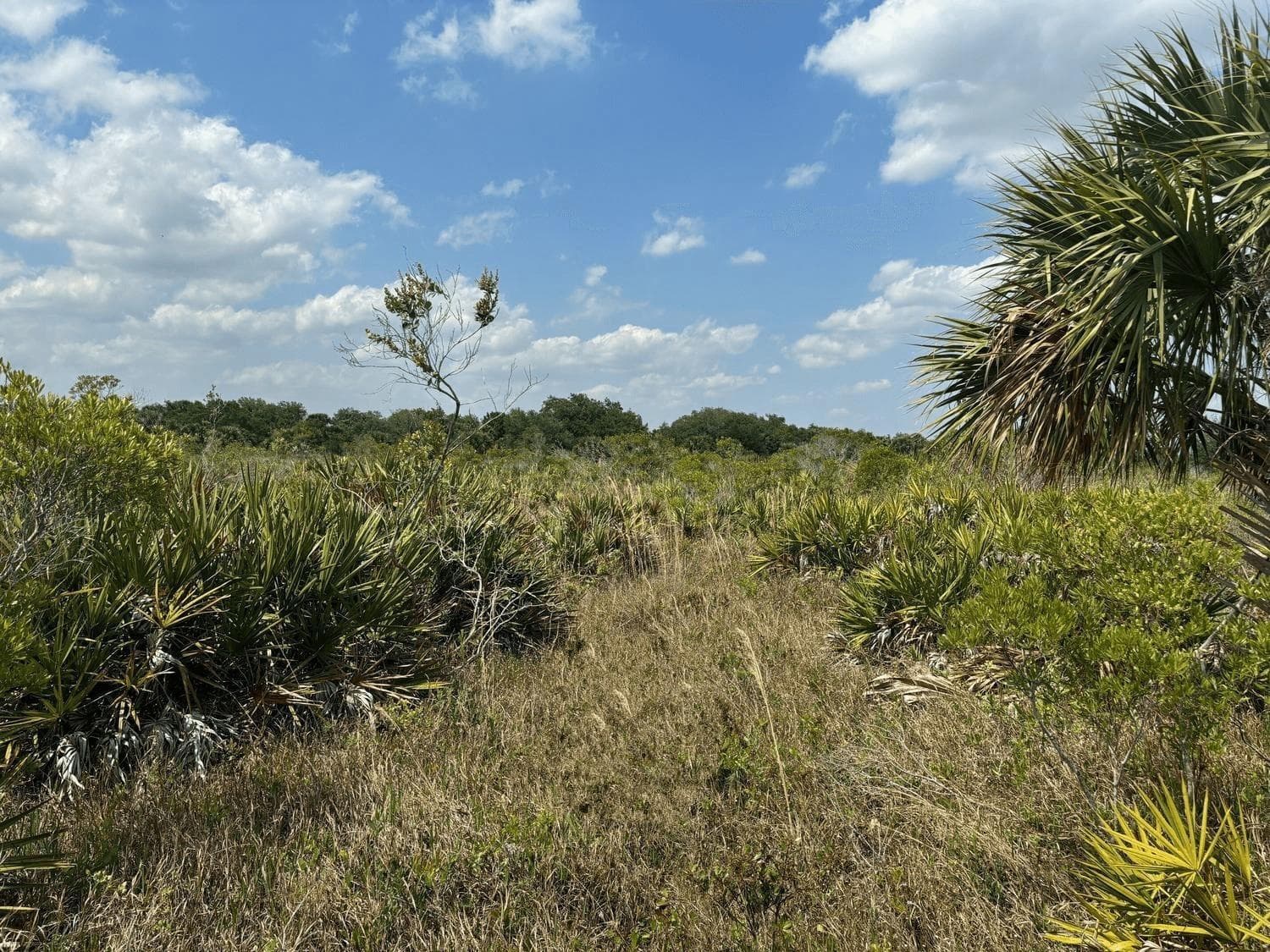0 NW 306th Street, Okeechobee FL 34972