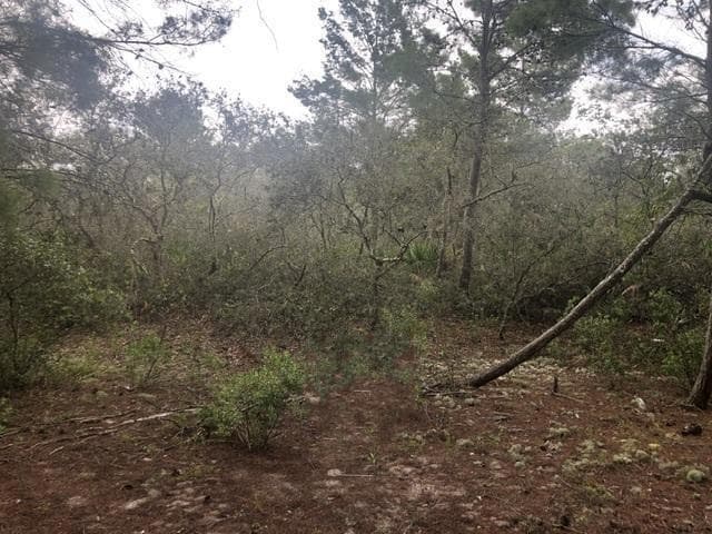 0 Alturas Babson Park Cutoff Road, Lake Wales FL 33859