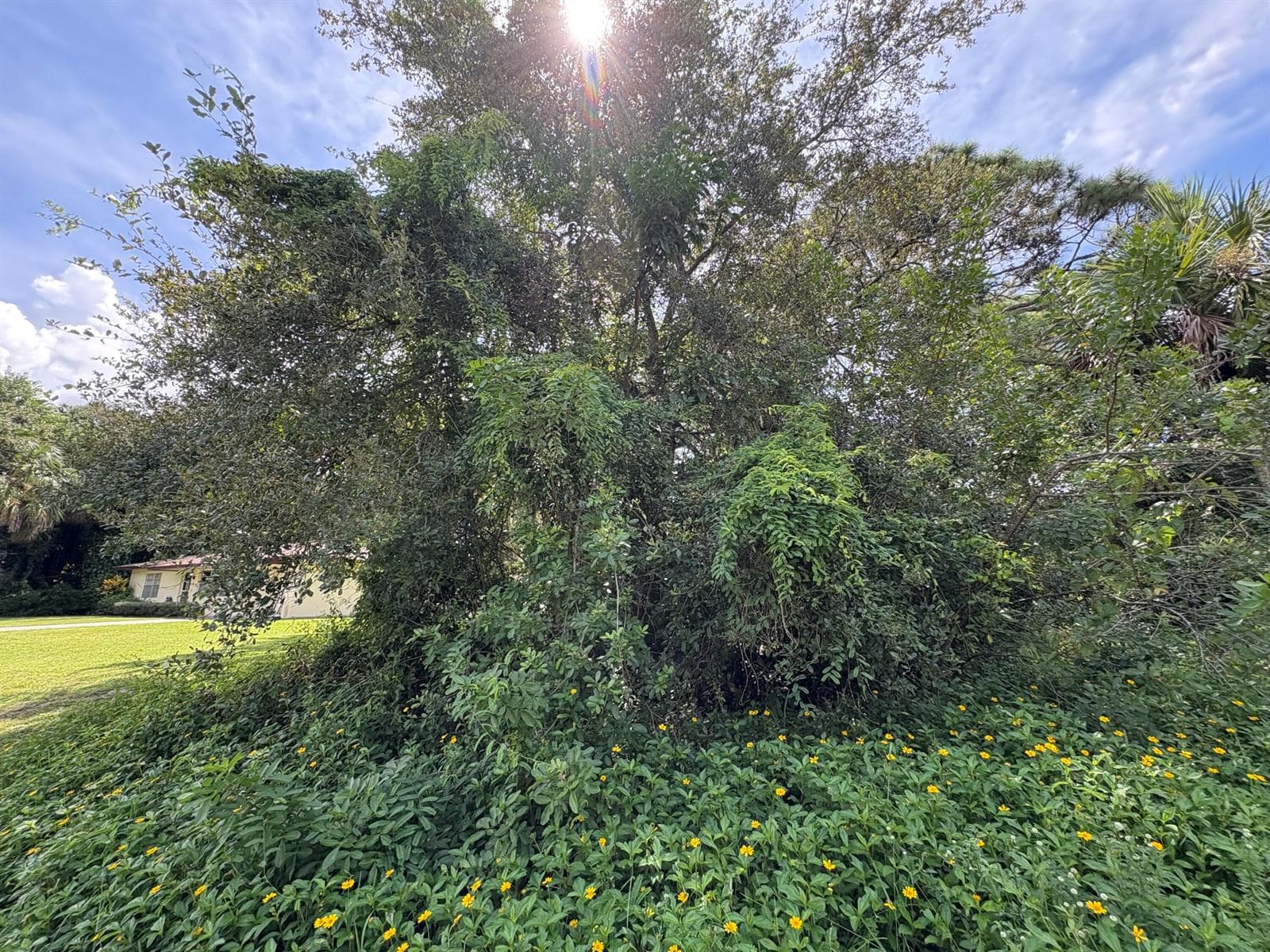 Tbd Santa Clara Boulevard, Port St. Lucie FL 34951