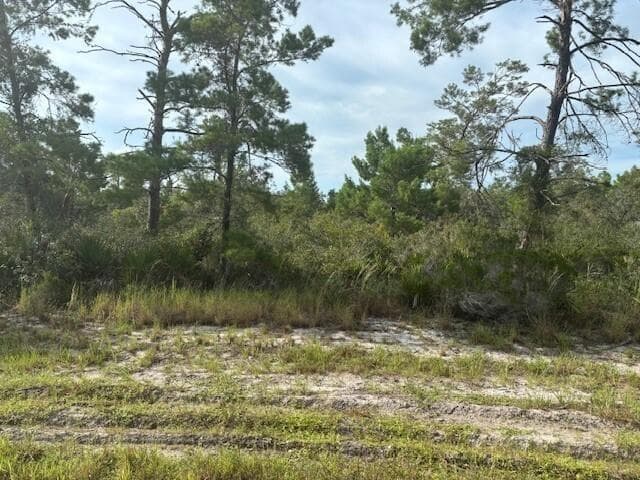 533 Boylston Street, Lake Placid FL 33852