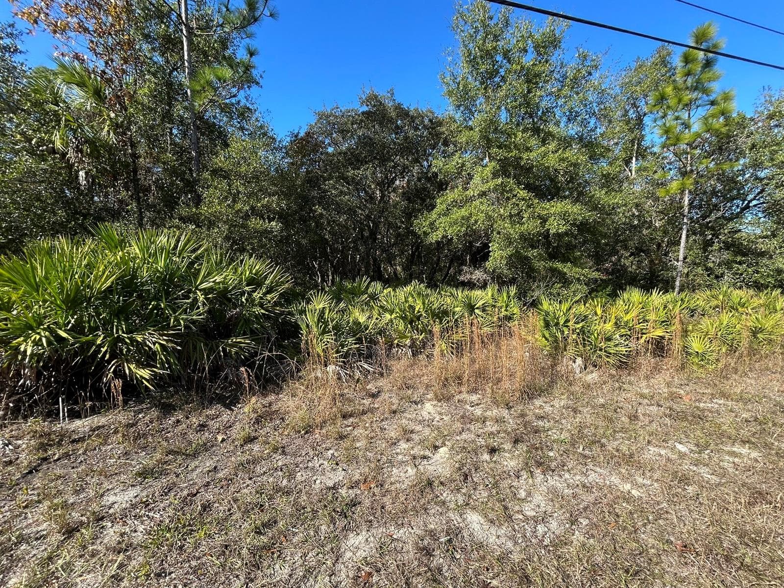632 N Dunkenfield Avenue, FL 34429