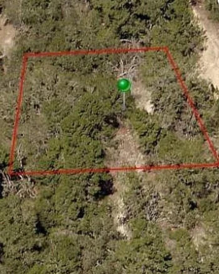 107 N Cristy Avenue, Inverness FL 34452