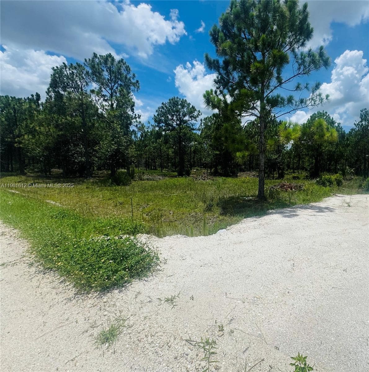 5120 PIONEER, Other City - In The State Of Florida FL 33440