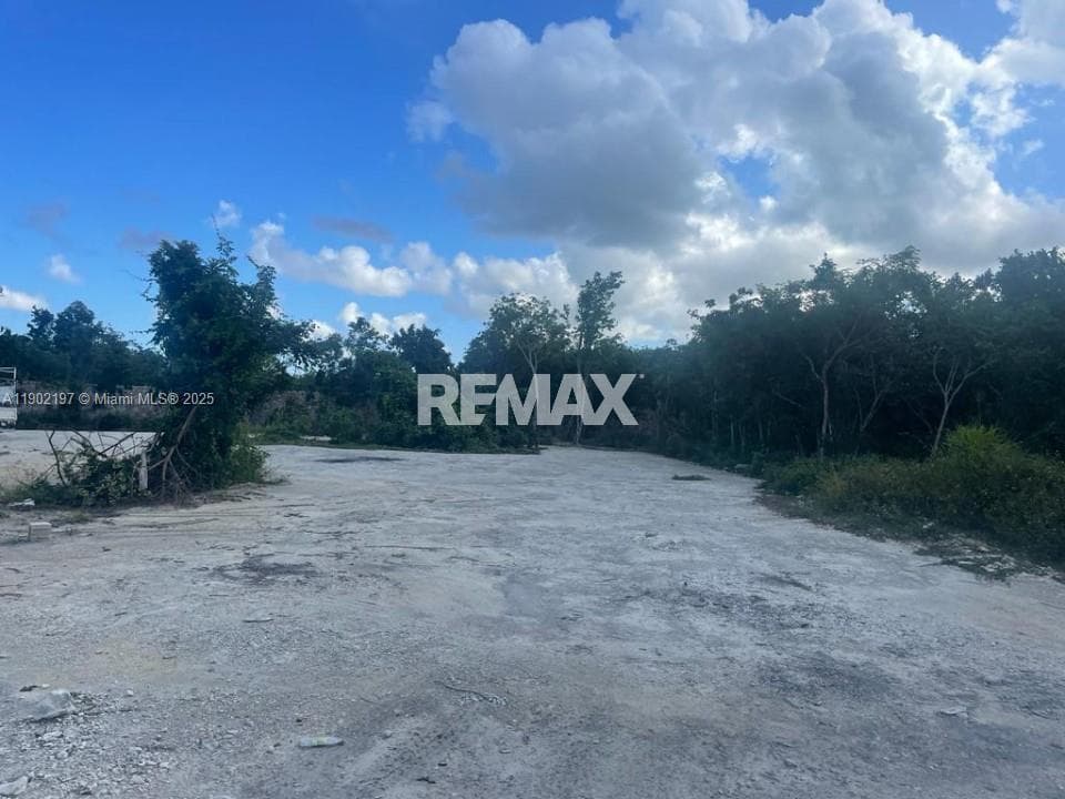 Vista cana punta cana, PU 2300