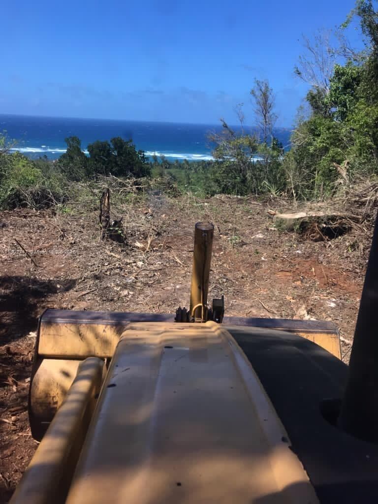 OCEAN VIEW