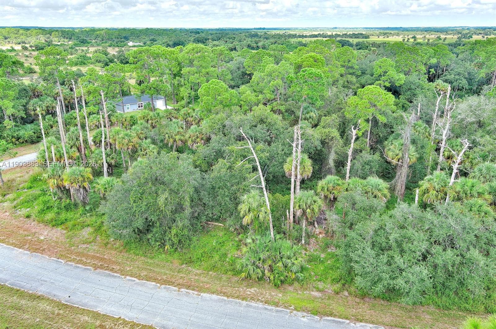 232 SPARKLE DR, La Belle FL 33935