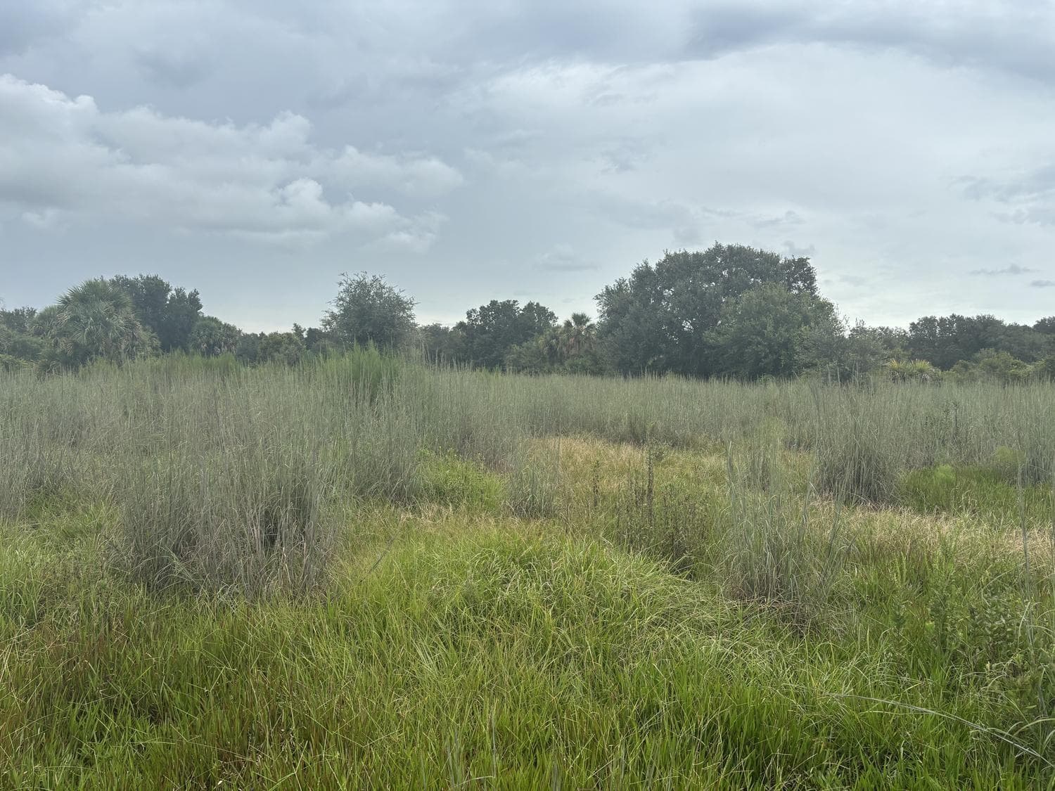 0 294th Street, Okeechobee FL 34972