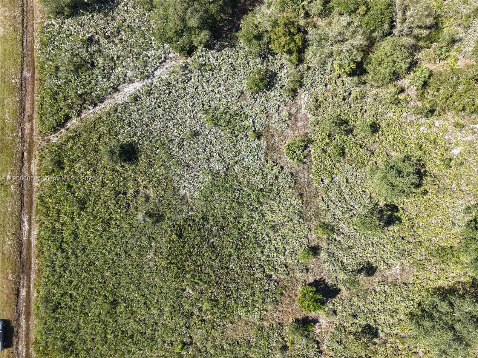 15527 NW 252ND, Okeechobee FL 34972