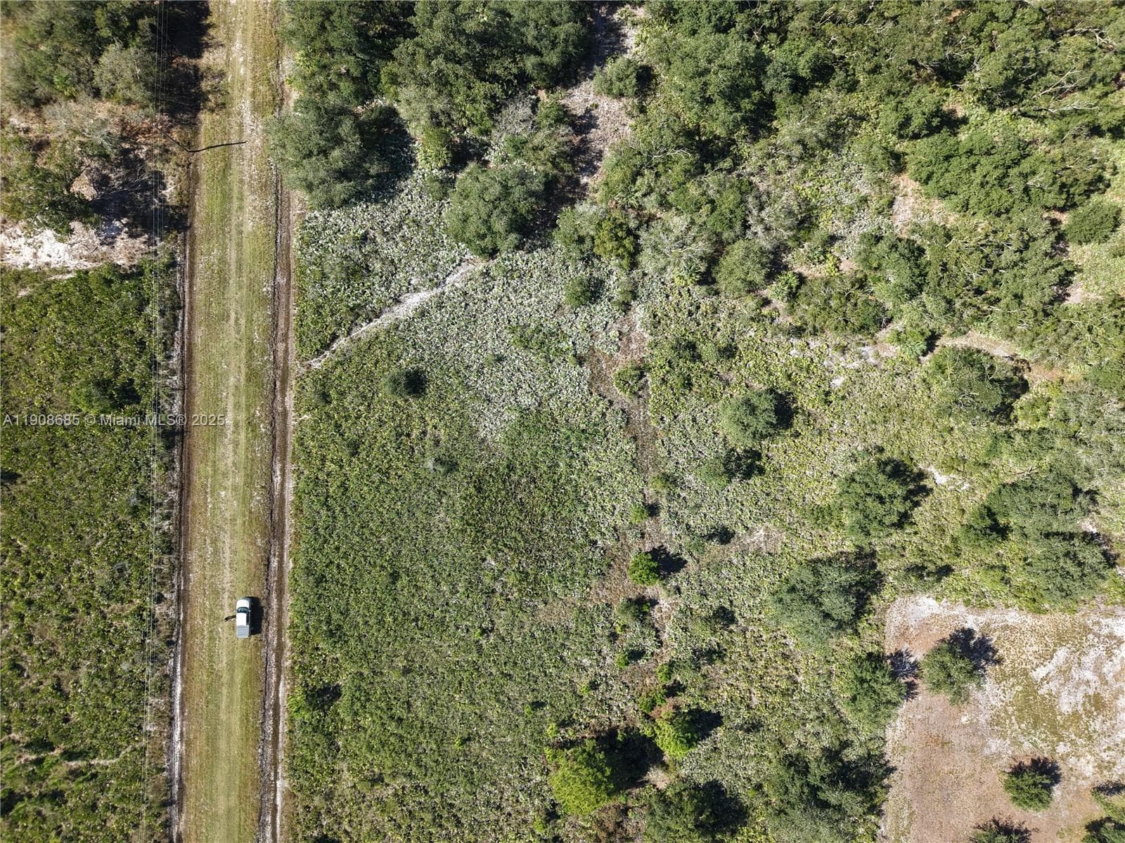 15527 NW 252ND, Okeechobee FL 34972