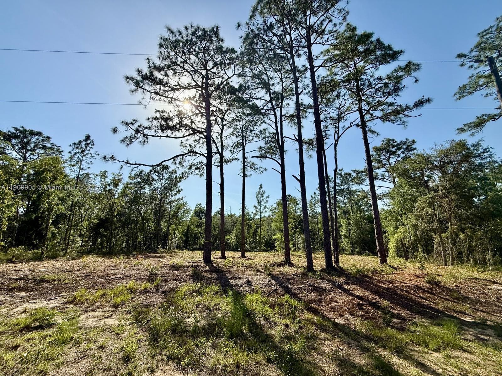 0 NW 157th Ave, Williston FL 32696