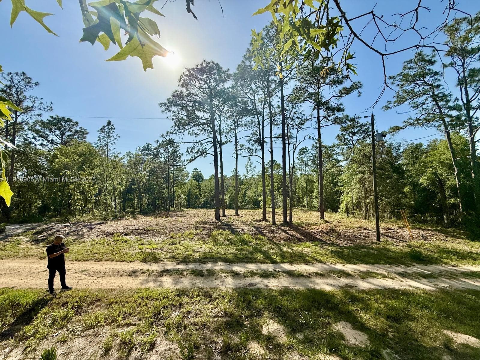 0 NW 157th Ave, Williston FL 32696