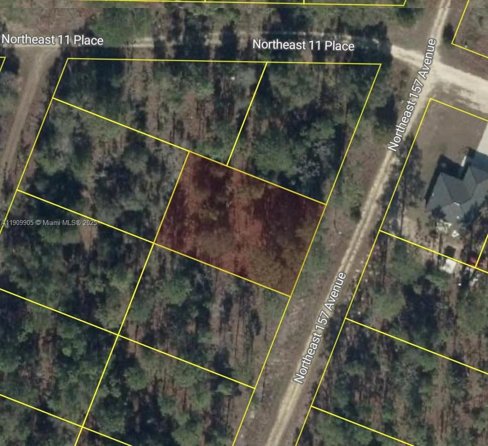 0 NW 157th Ave, Williston FL 32696