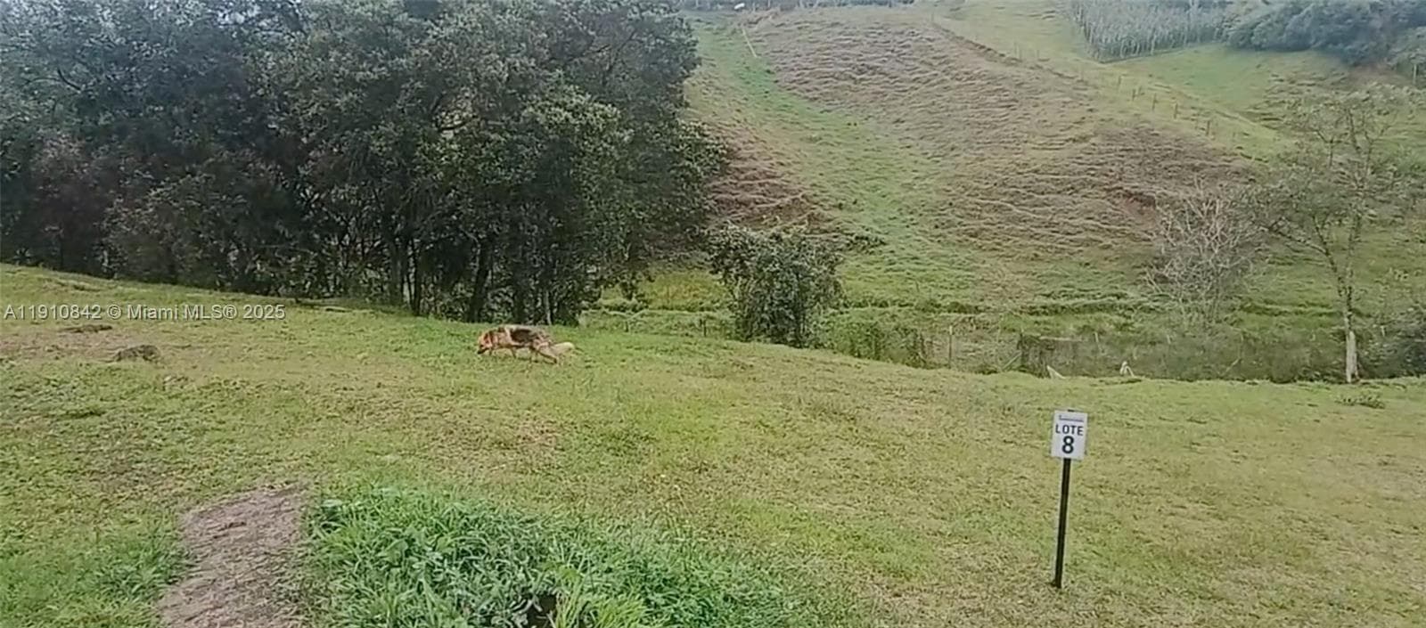 Vereda Mmpuesto Sector Garrido #8, C Colombia
