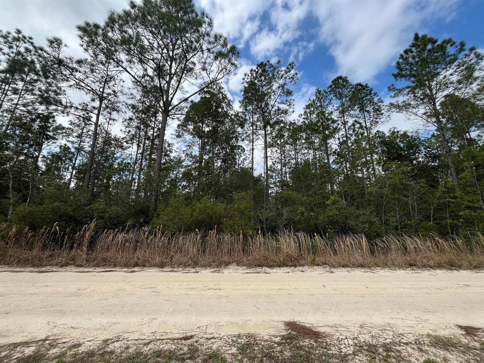 215 Royal Avenue, FL 32148