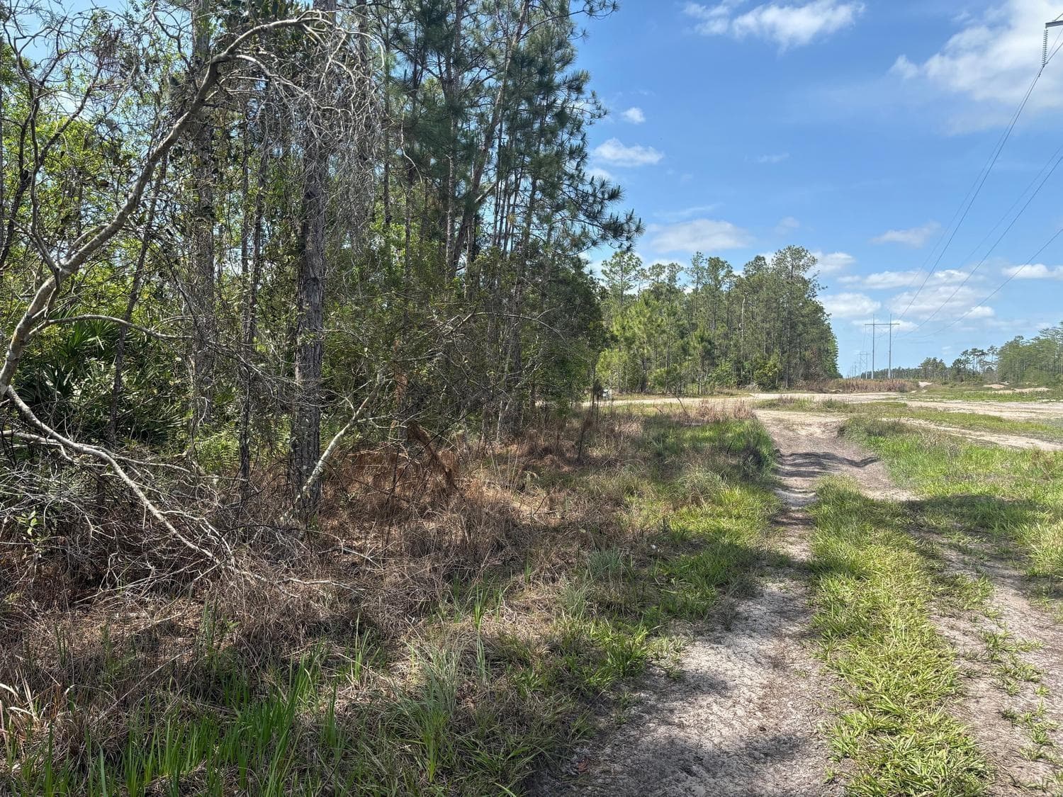0 Holopaw Groves Road, FL 34772