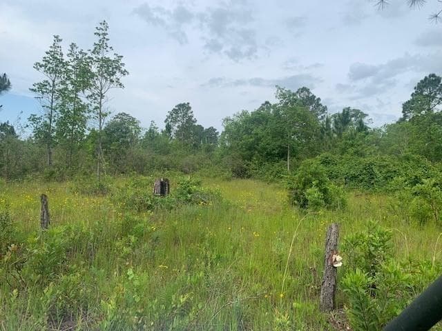 0 Holopaw Groves Road, FL 34772