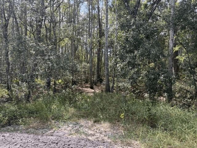 0 County Rd 54, FL 33849