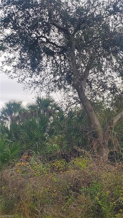 315 Ivanhoe Avenue, FL 33935