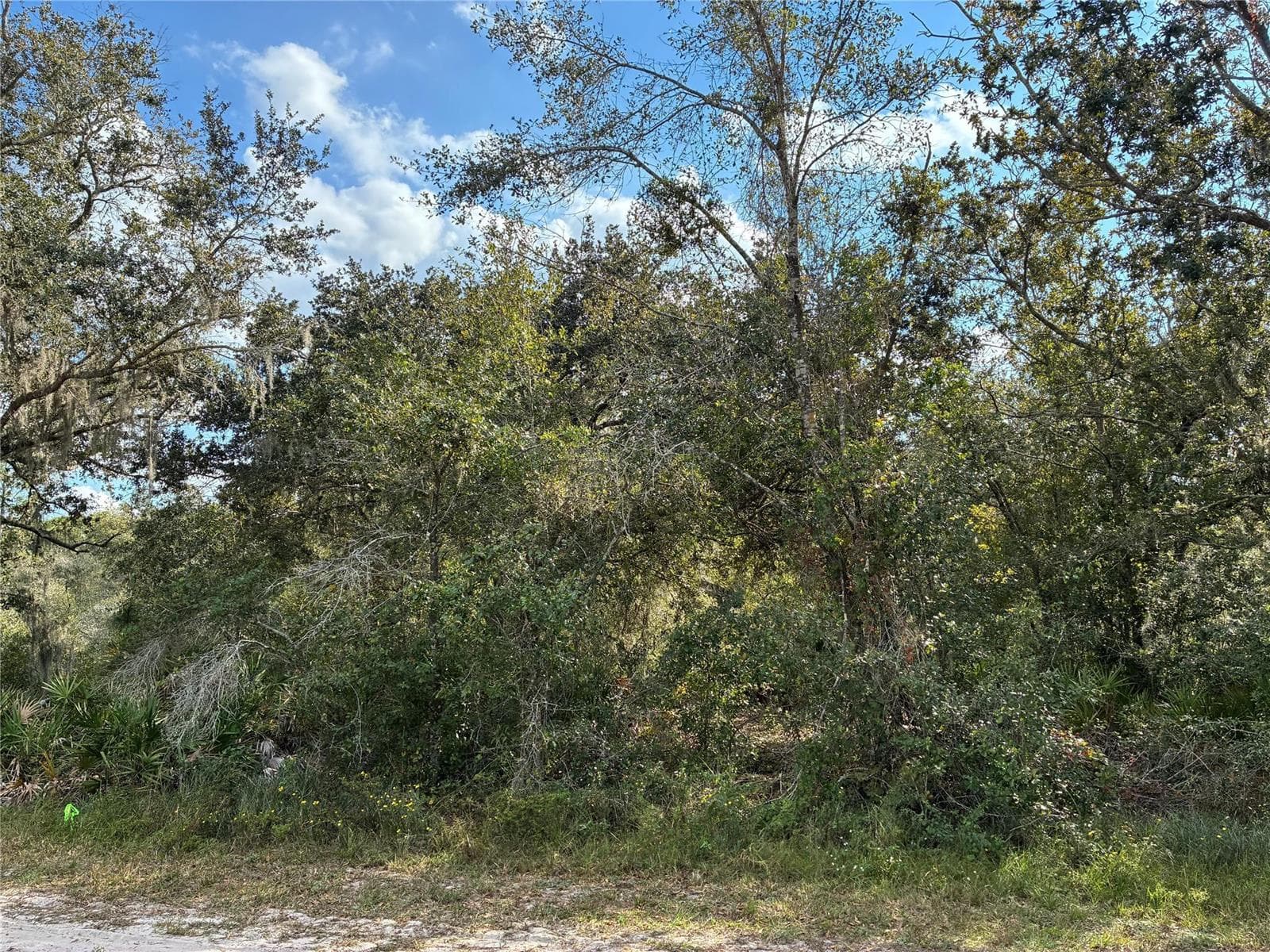 3791 Park Avenue, FL 33855